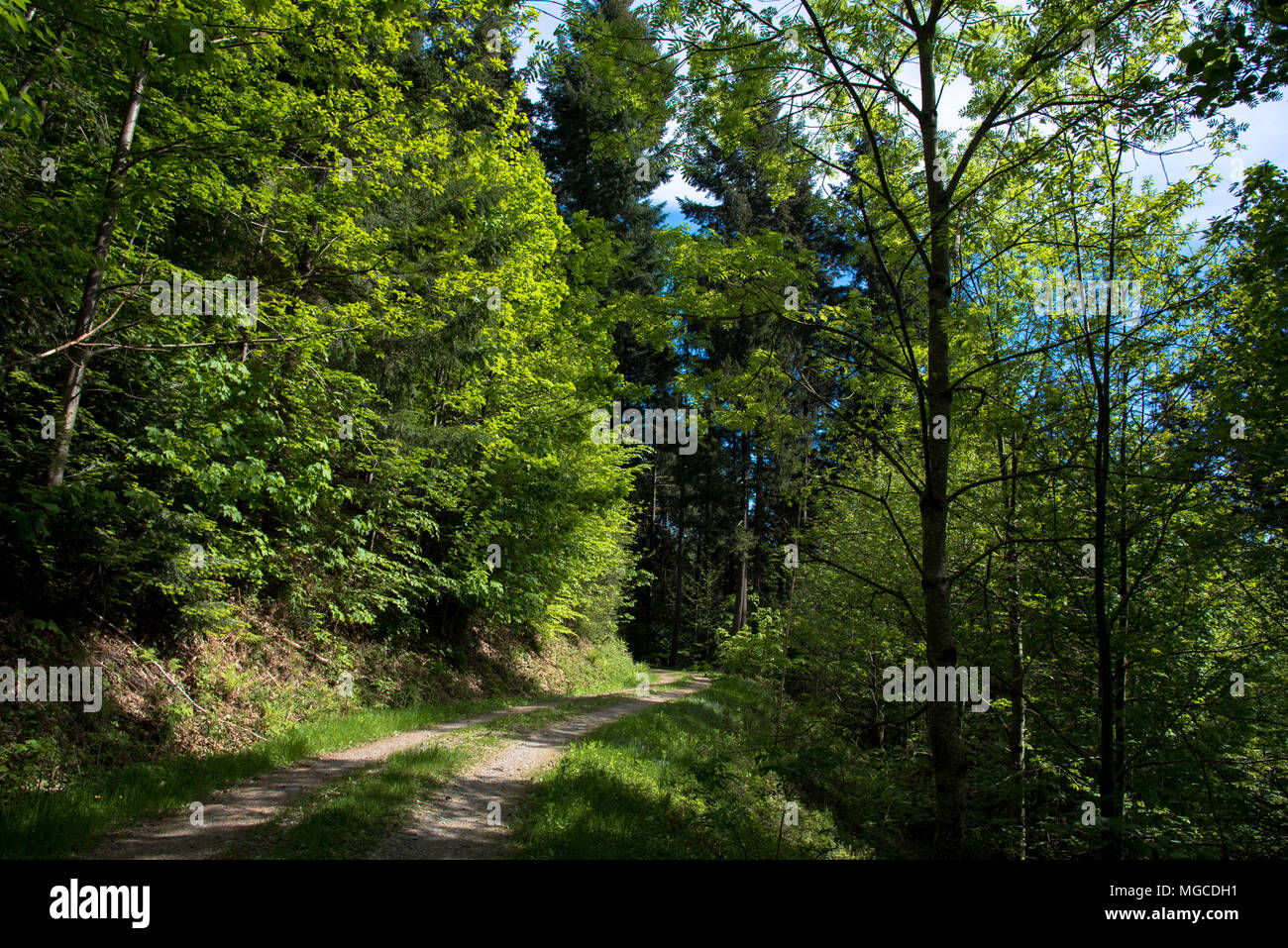 Beautiful landscape in the Black Forest Stock Photo Alamy