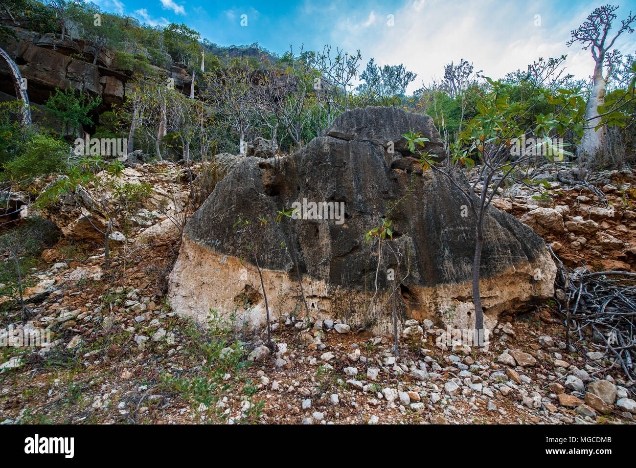 Stone and rock formations on the Socotra Island, Yemen Stock Photo