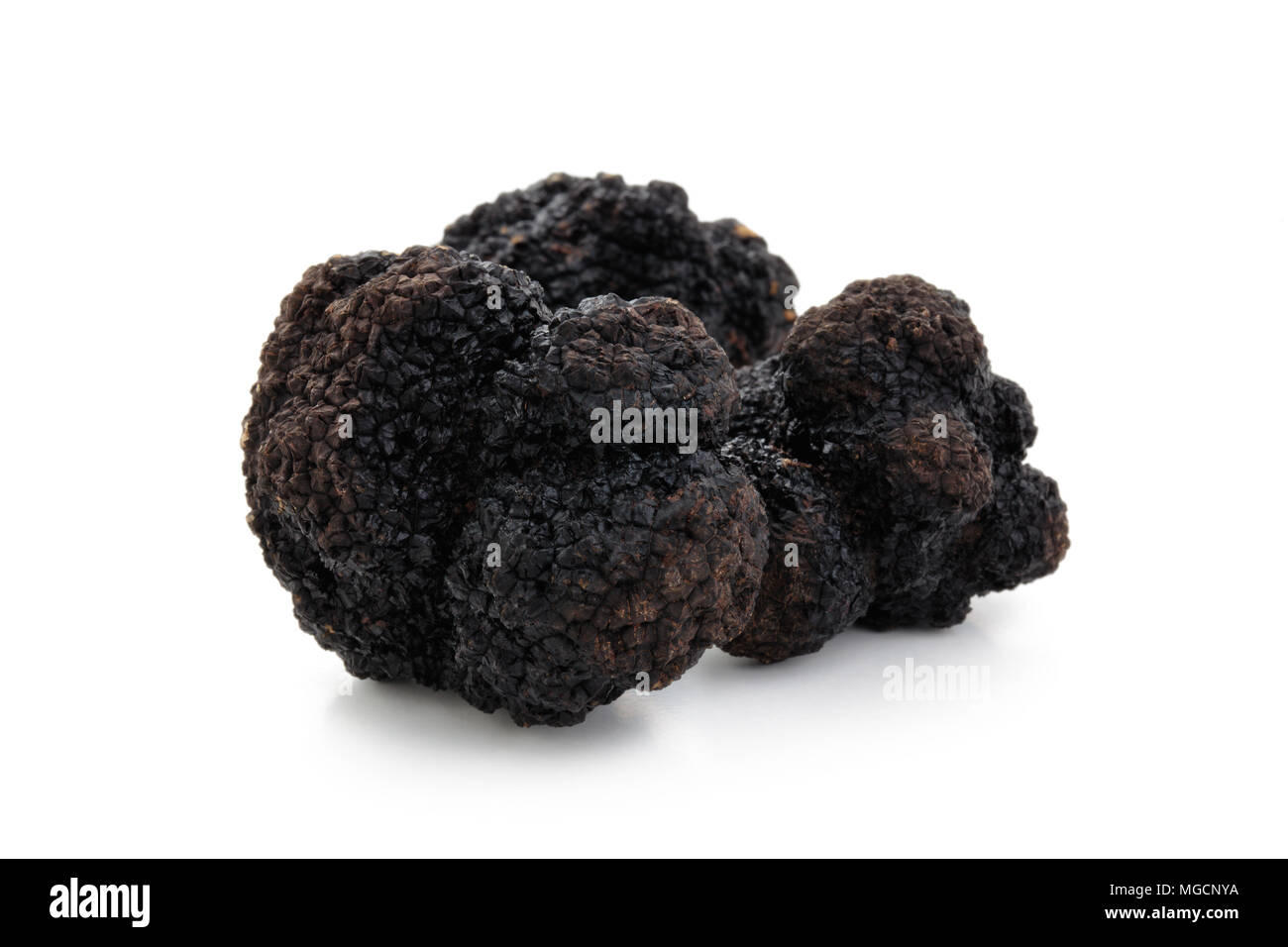 Black truffles on white.  Stock Photo