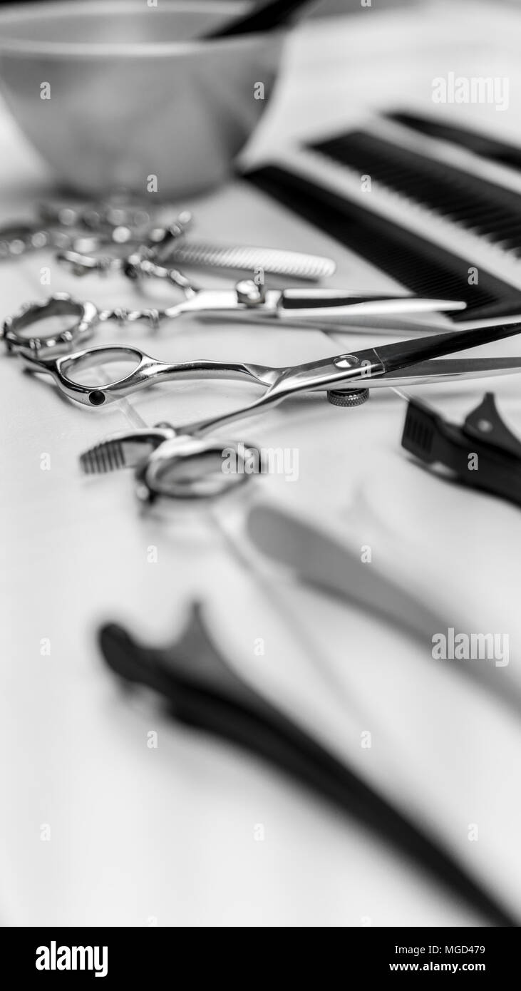 Professional haircut combs, scissors, clips, bowl, coloring brushes for hairstyle and grooming salon Stock Photo