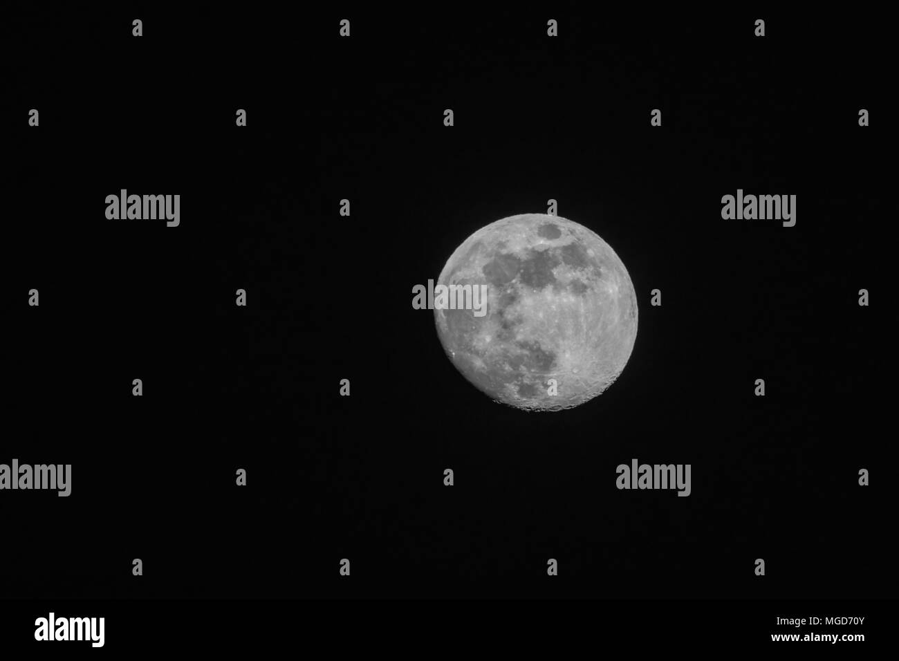 full moon up close in a black night sky Stock Photo - Alamy