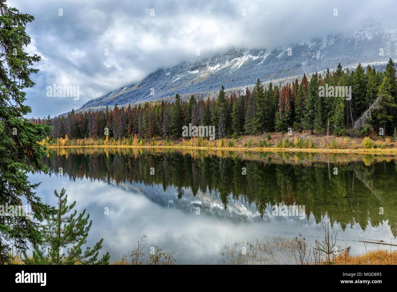 Yellowhead Lake, British Columbia, Canada Stock Photo
