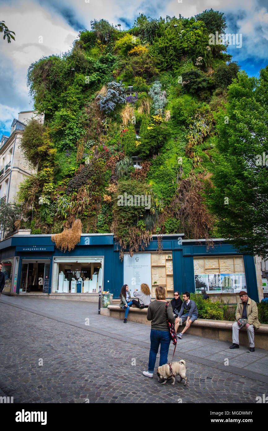L'oasis d'Aboukir, un mur végétal de 250 m2 en plein coeur de Paris Stock Photo