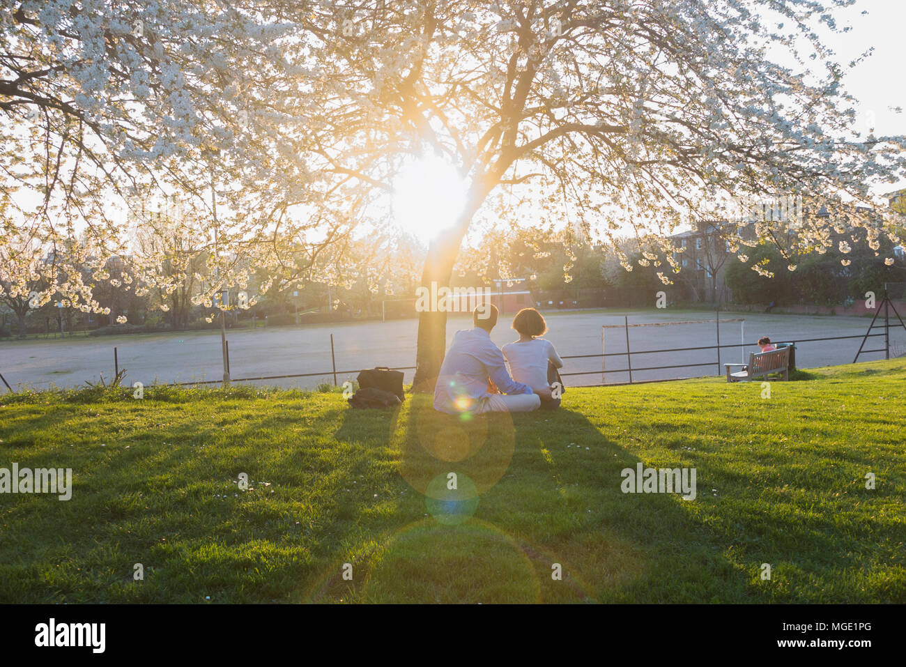 A couple sitting under a cherry tree in full blossom enjoy the views over London and the warm spring sunshine Stock Photo