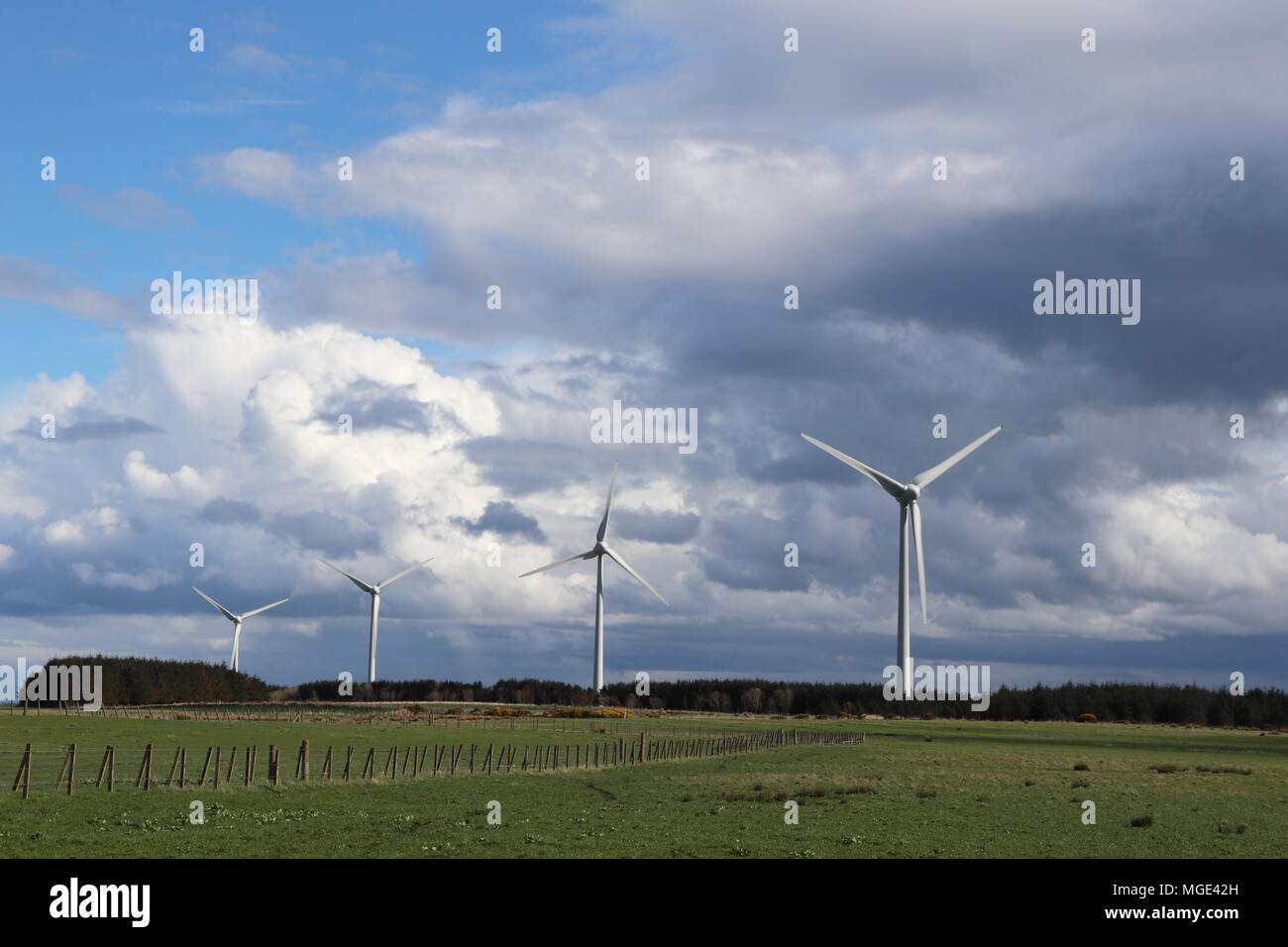 Wind turbines in field against blue sky with fluffy white clouds Stock ...