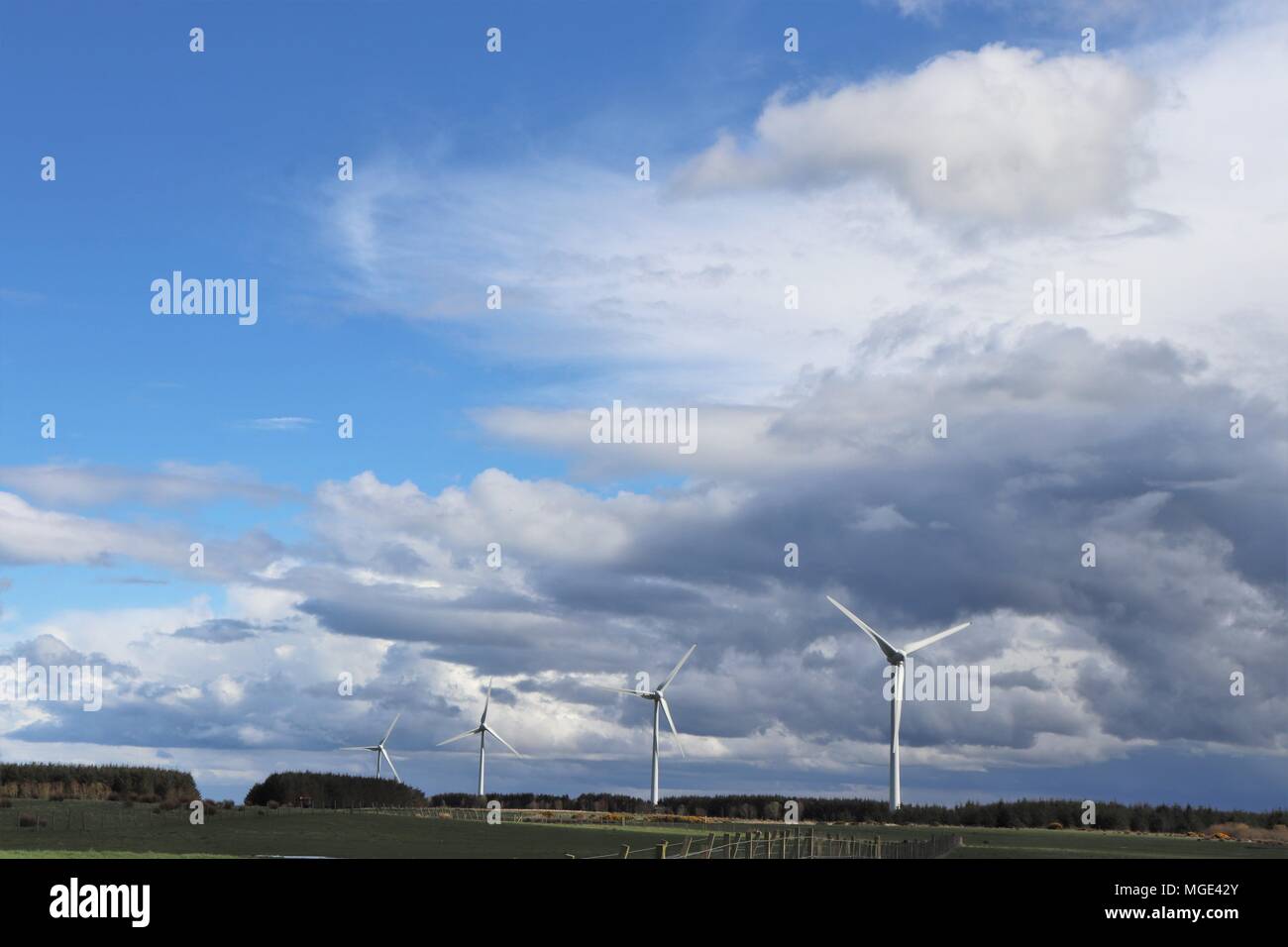 Wind turbines in field against blue sky with fluffy white clouds Stock ...
