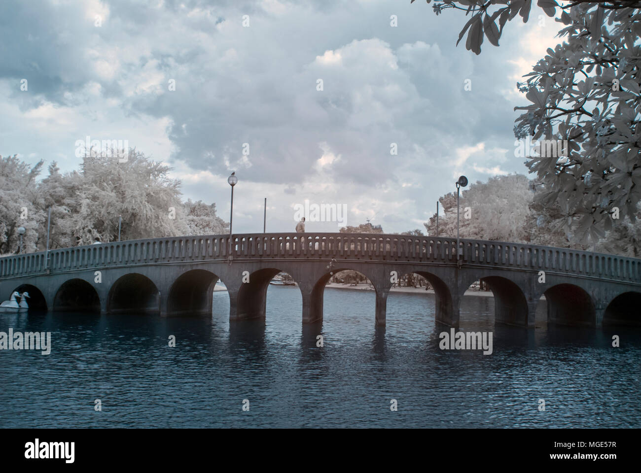 Near Infrared or IR photo panoramic view of outdoor public park Stock Photo