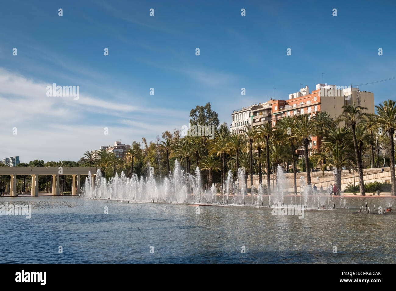 Jardines del Turia y picnic local