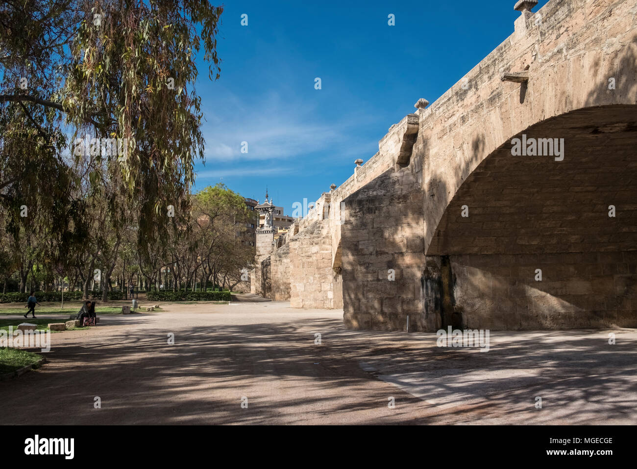 Turia Gardens (Jardines del Turia), a 9km former riverbed running through the city centre converted to a public garden, Valencia, Spain Stock Photo