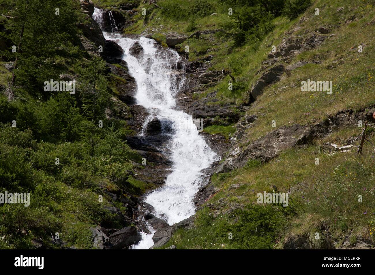A simple stream with mountain water flows through the frame amid meadows and green trees and rocks, in Val Susa, near Turin in Piedmont in Italy Stock Photo