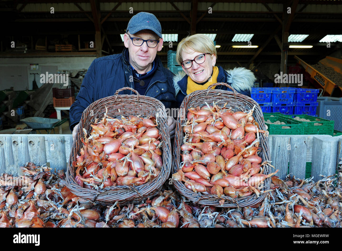 French shallots for sale at La Ferme des Beaux Bois, a local producer
