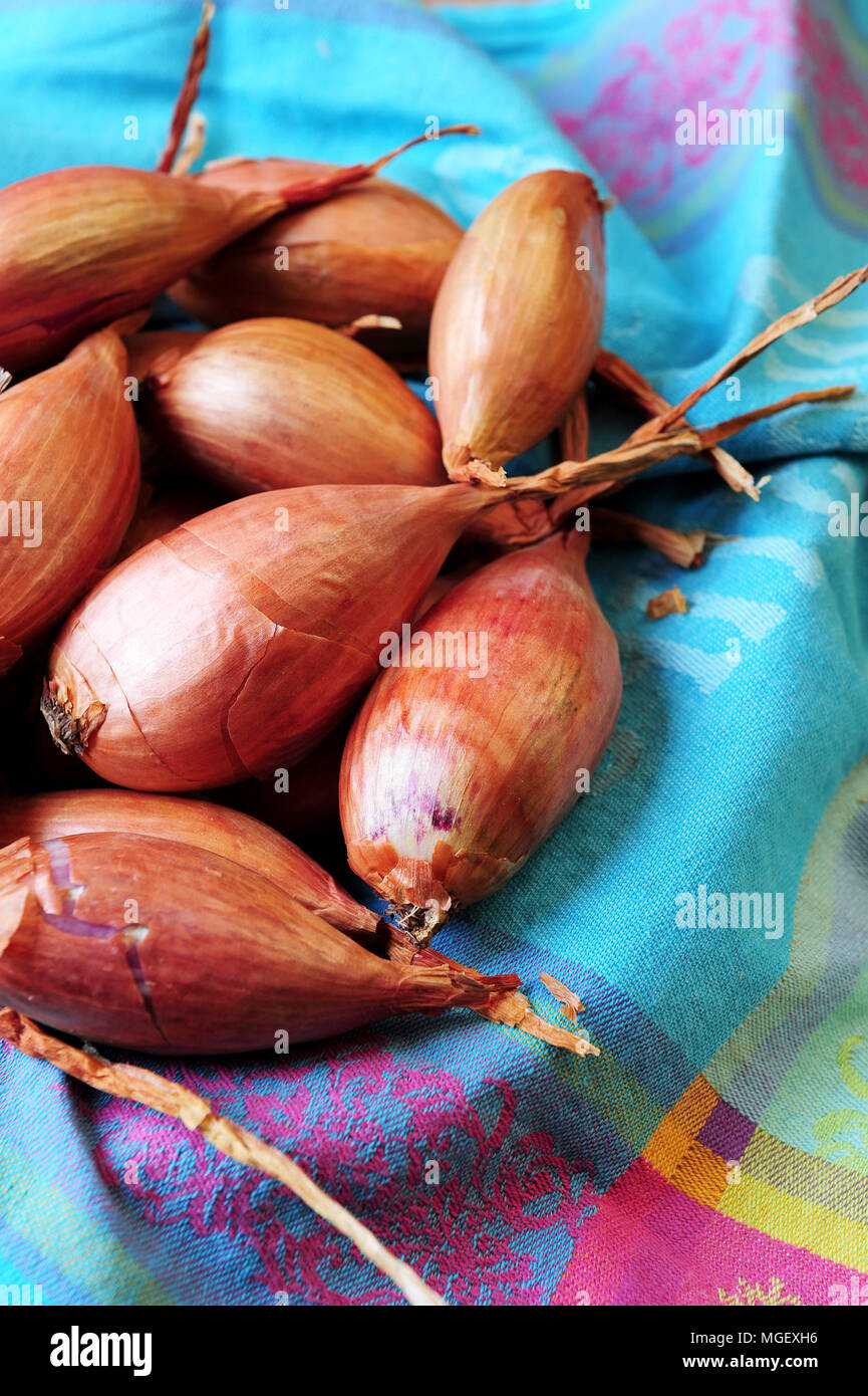 échalotes hi-res stock photography and images - Alamy