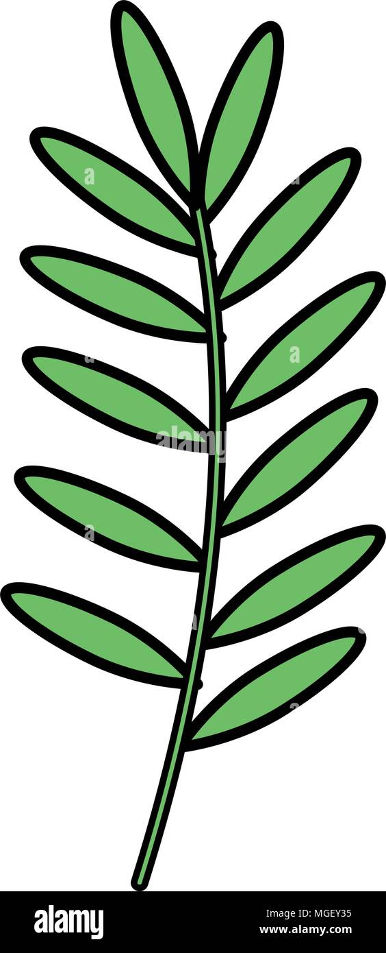branch with leafs decorative icon Stock Vector Image & Art - Alamy