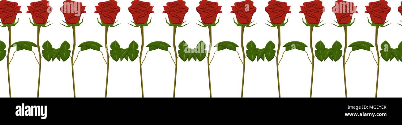 Seamless border red roses, vector Stock Vector Image & Art - Alamy