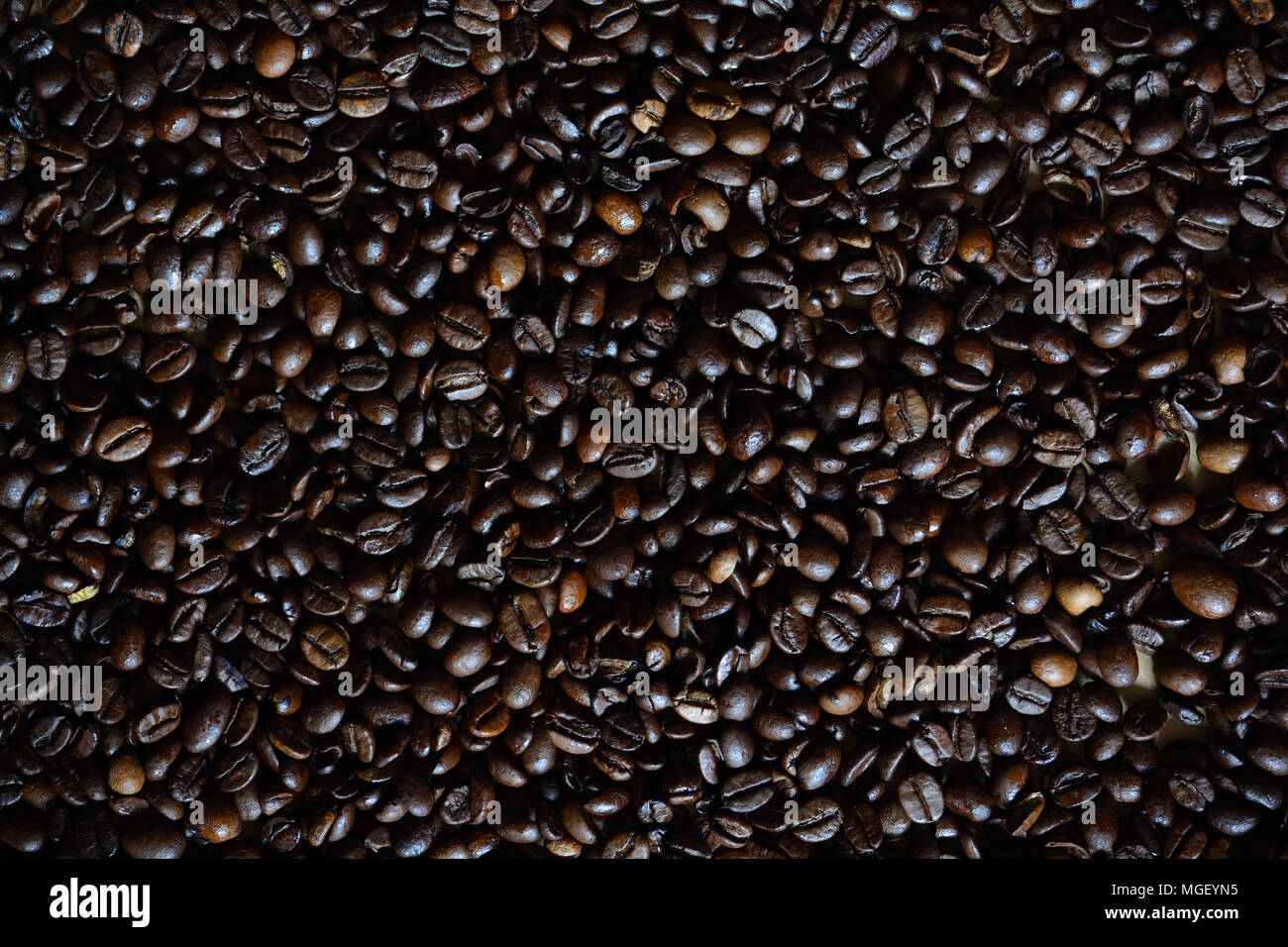 dark oily coffee beans