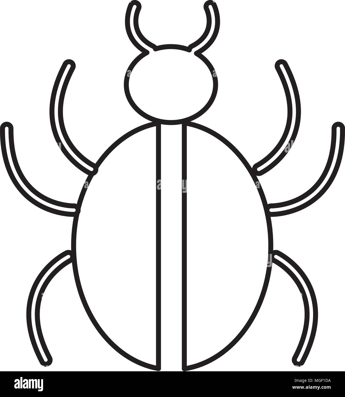 Insect shield bug Black and White Stock Photos & Images - Alamy