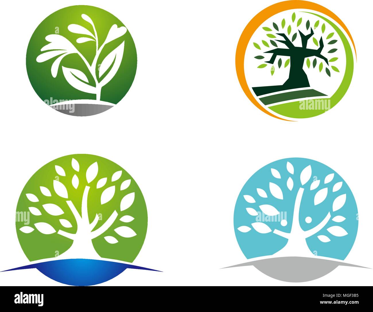 Oak Tree Template Set Stock Vector Image & Art - Alamy