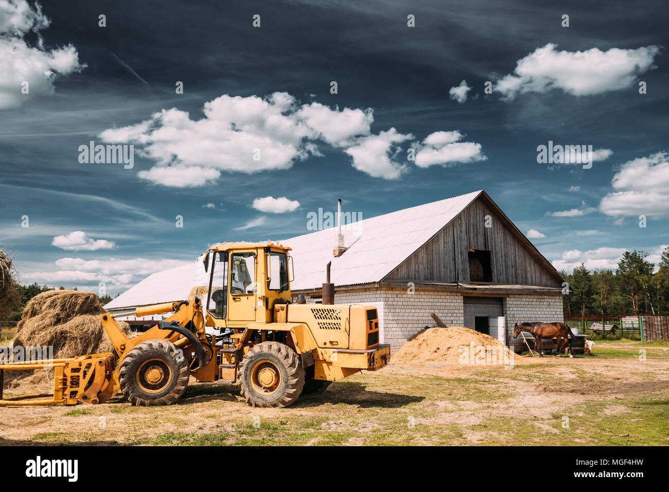 Multipurpose Wheel Loader Carry Out Works In Transportation Of Hay In Agruculture Place In Summer Sunny Day. Special Agricultural Equipment. Stock Photo