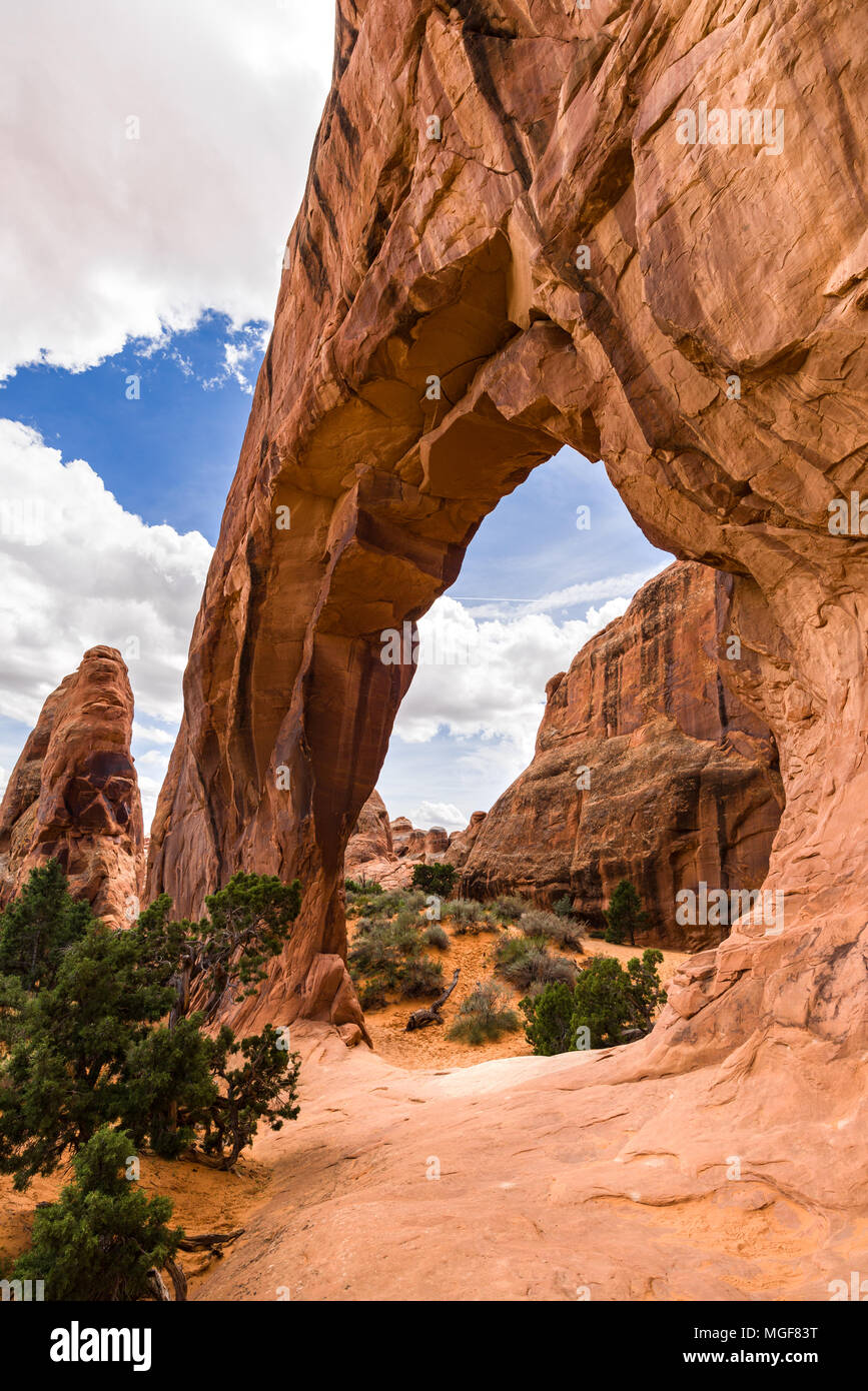 Pine Tree Arch, Arches National Park, Utah, USA Stock Photo