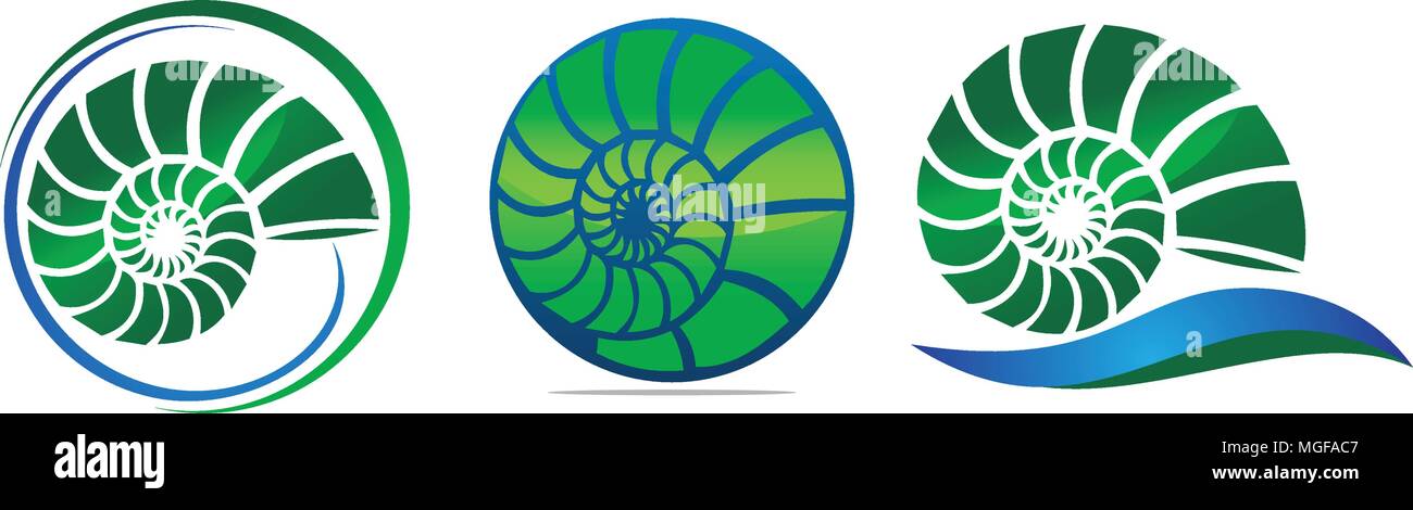 Sea Shell Modern Set Stock Vector Image & Art - Alamy