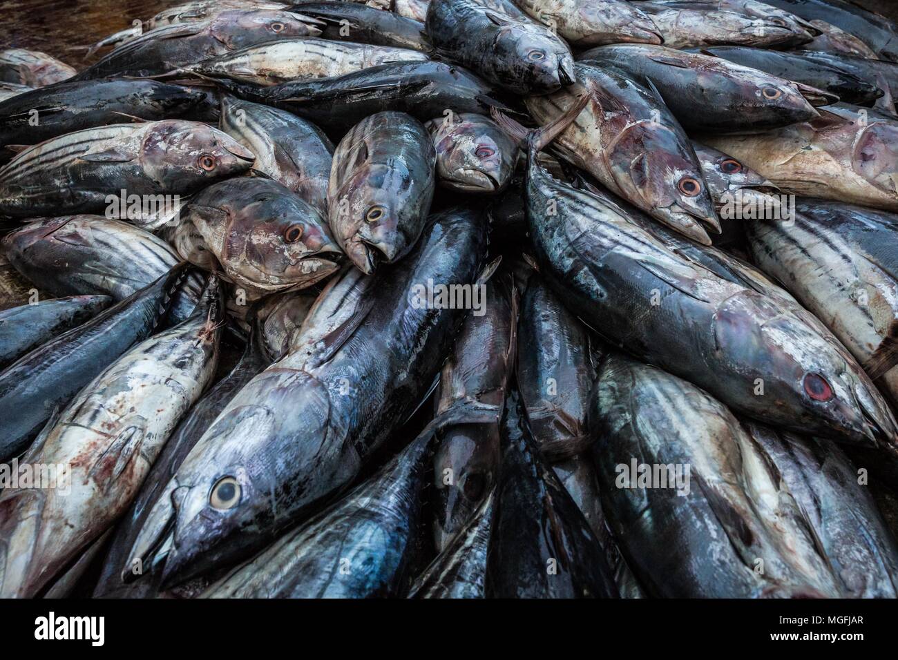 Tsunami waves 2004 sri lanka hi-res stock photography and images - Alamy