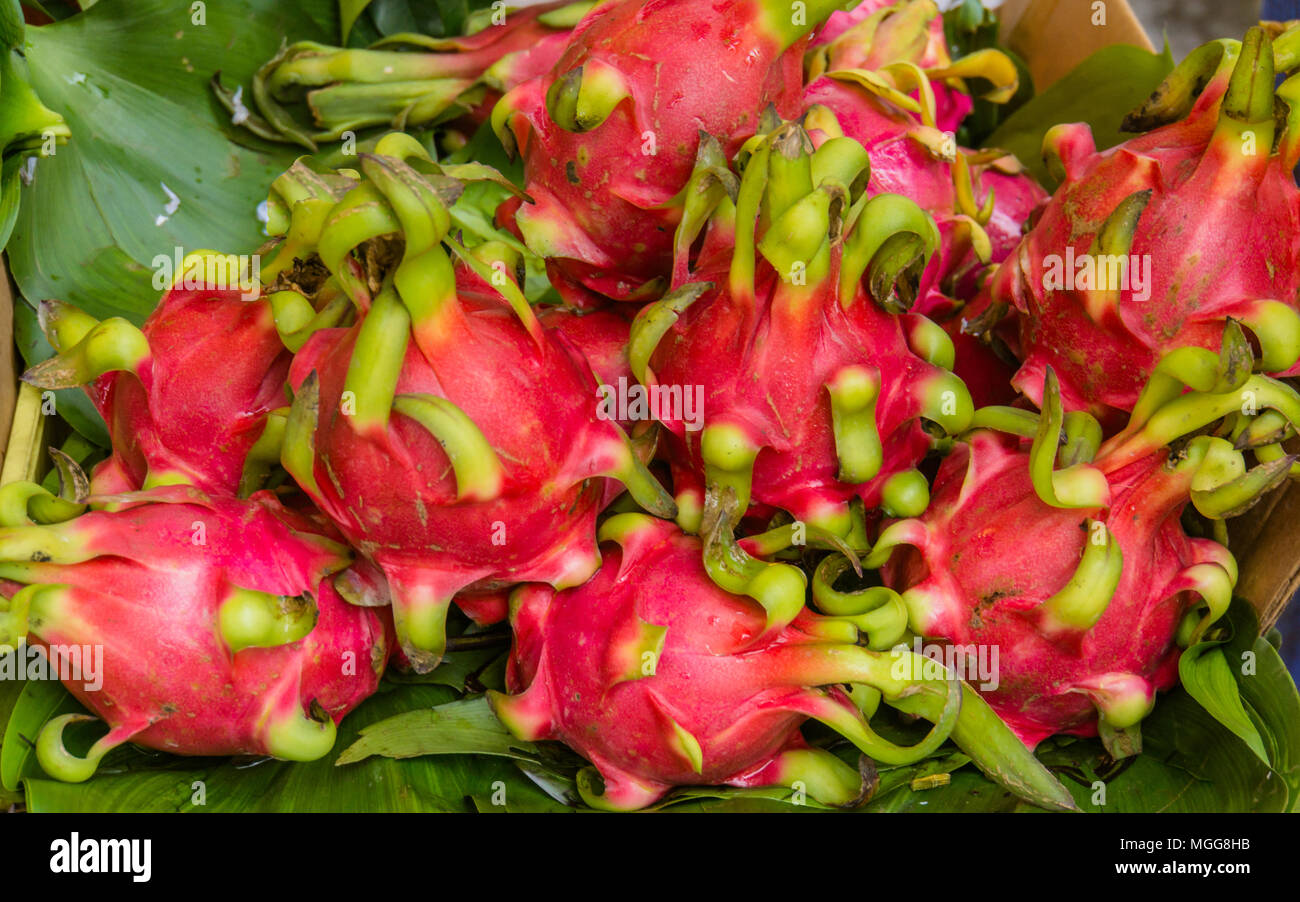 bright red and green dragon fruit for sale in Vietnamese market Stock Photo