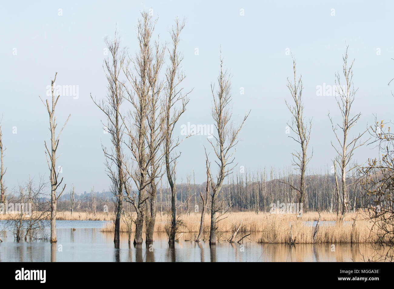 Fishlake Meadows Romsey Hampshire UK Stock Photo Alamy