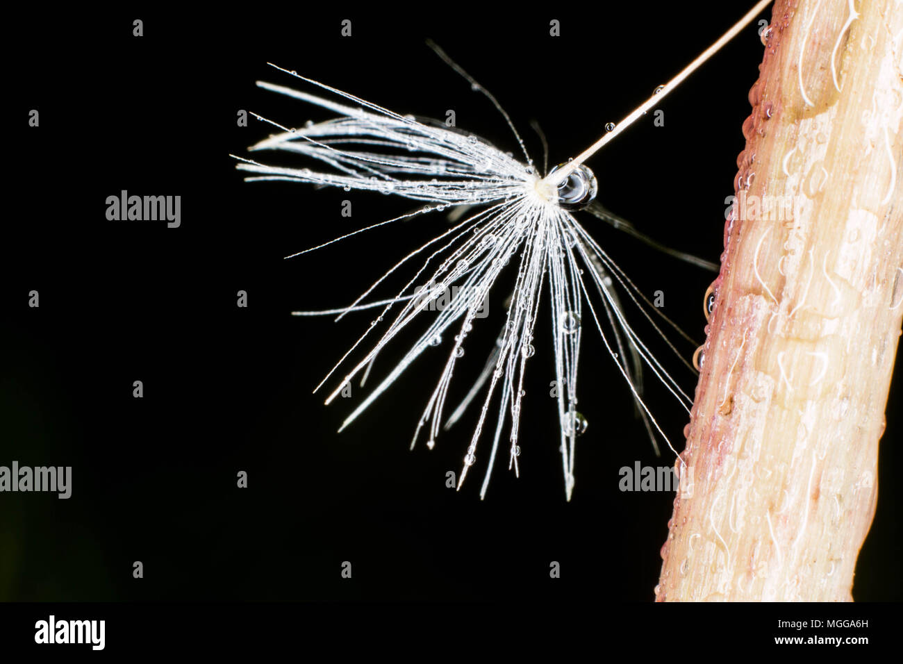 Stubborn grass stock image. Image of grey, cargo, perspective - 9621555