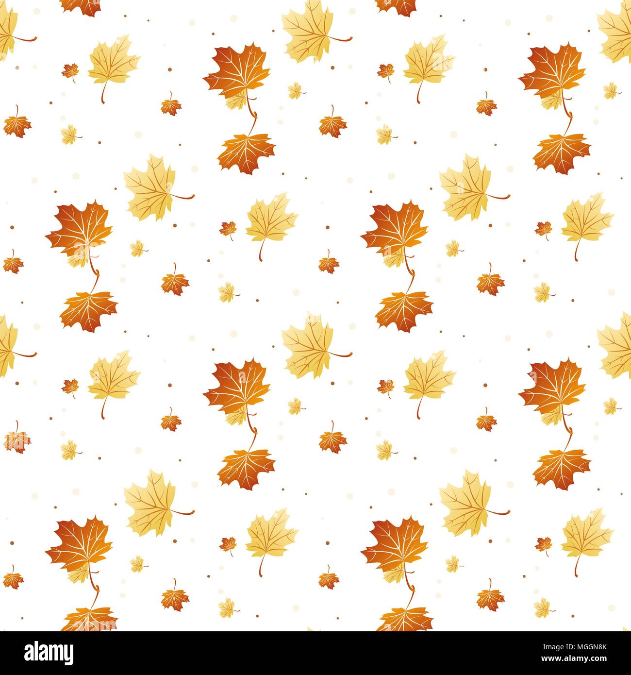 Vector seamless background autumn maple leaves on white.eps 10 Stock ...