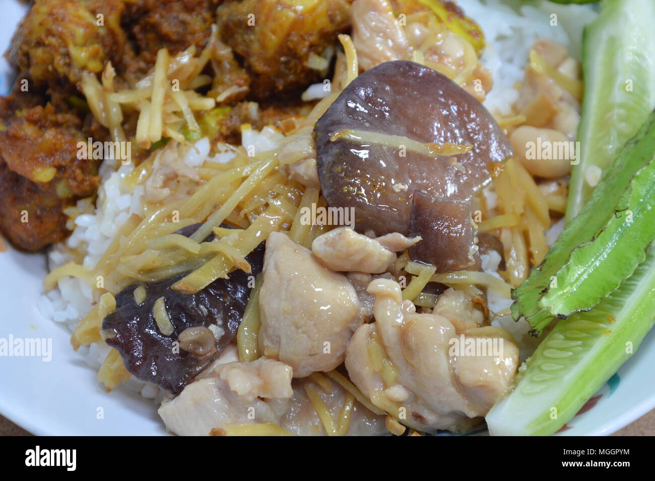 stir-fried chicken with slice ginger and black mushroom on rice Stock