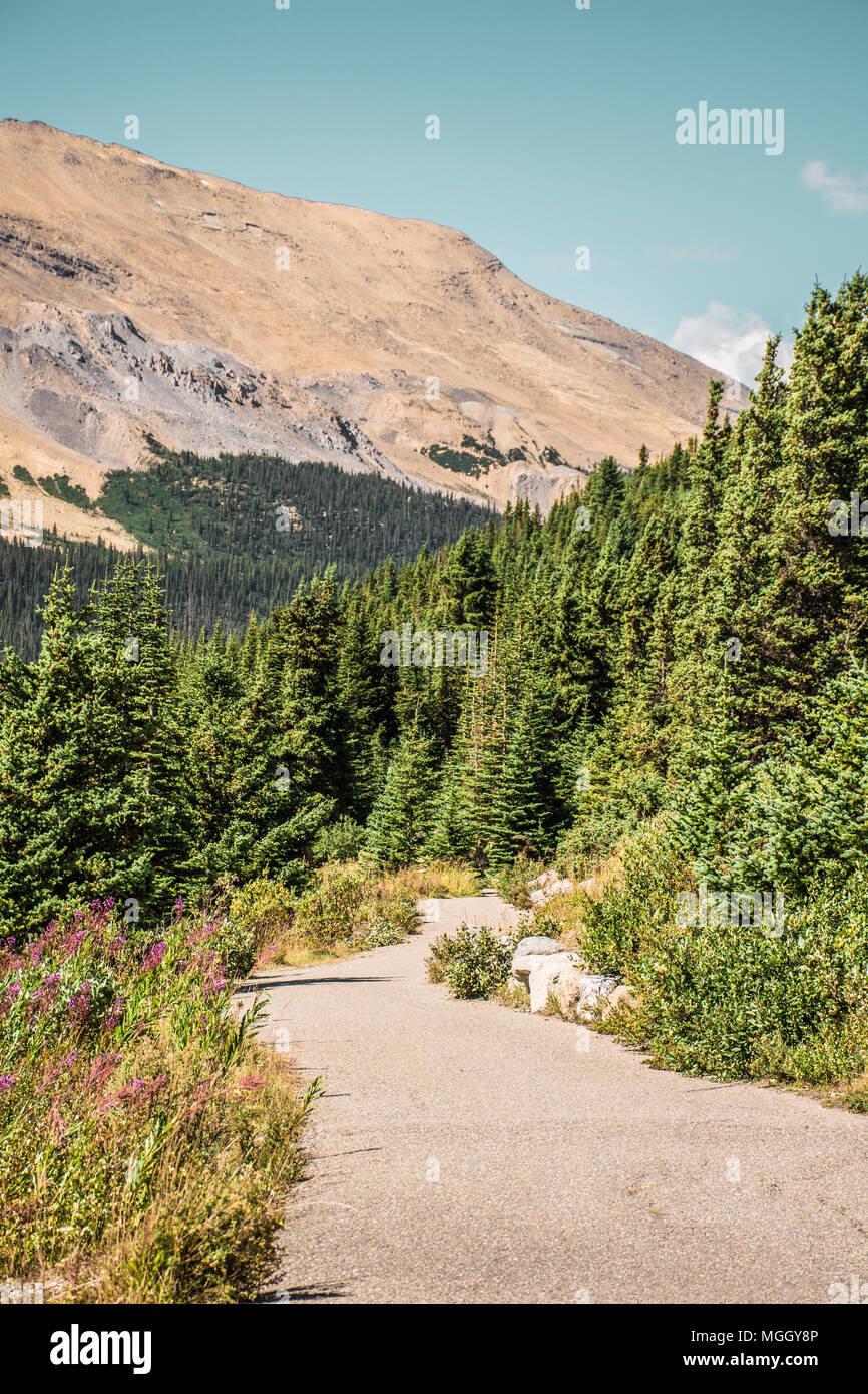 Stunning view canadian rocky hi-res stock photography and images - Alamy