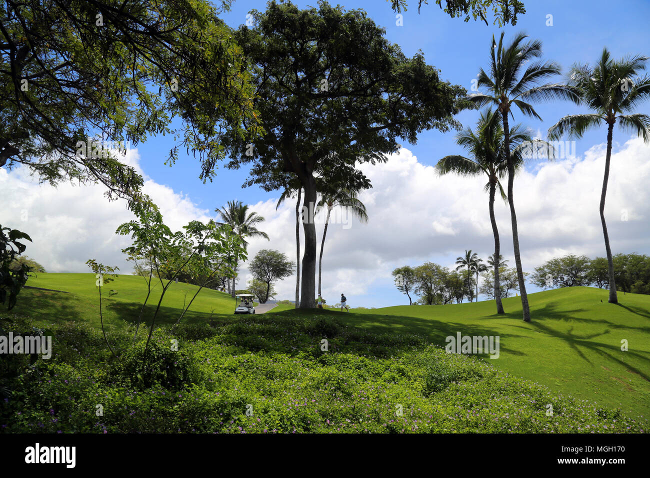 Wailea Golf Course Maui Stock Photo Alamy