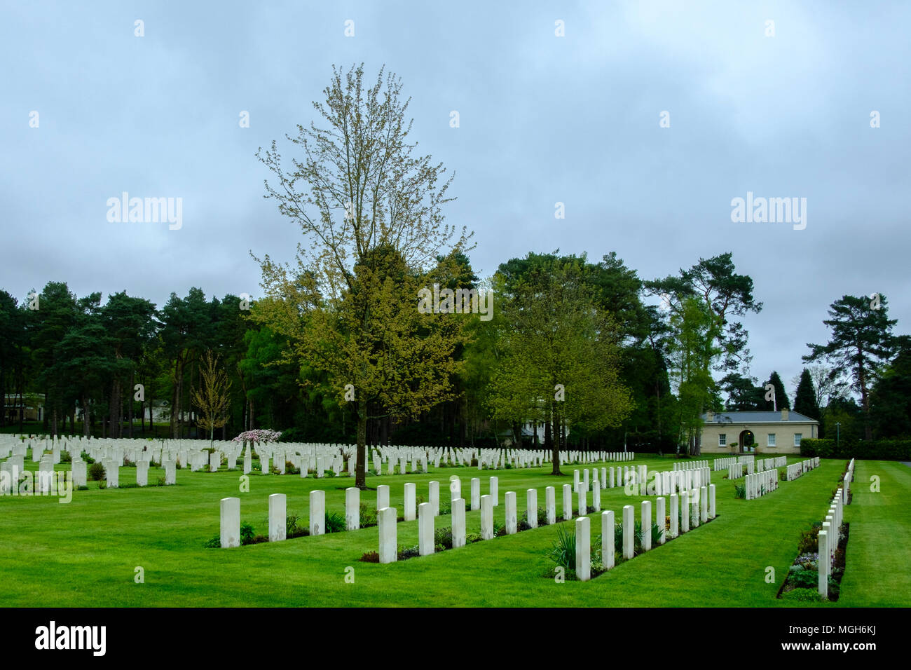 Brookwood Military Cemetery covers about 37 acres (15 ha) and is the largest Commonwealth war cemetery in the United Kingdom. Stock Photo