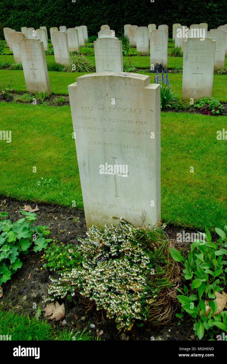 Brookwood Military Cemetery covers about 37 acres (15 ha) and is the largest Commonwealth war cemetery in the United Kingdom. Stock Photo