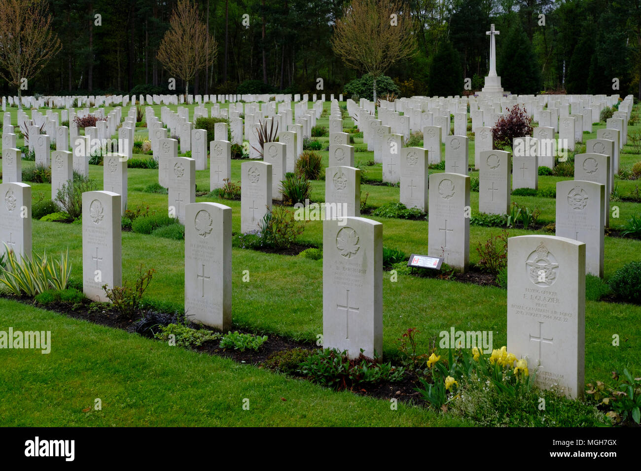 Brookwood Military Cemetery covers about 37 acres (15 ha) and is the largest Commonwealth war cemetery in the United Kingdom. Stock Photo