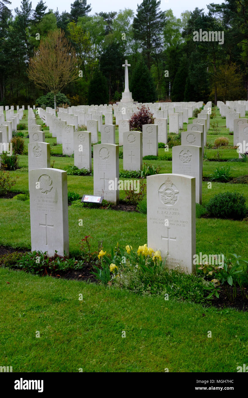 Brookwood Military Cemetery covers about 37 acres (15 ha) and is the largest Commonwealth war cemetery in the United Kingdom. Stock Photo