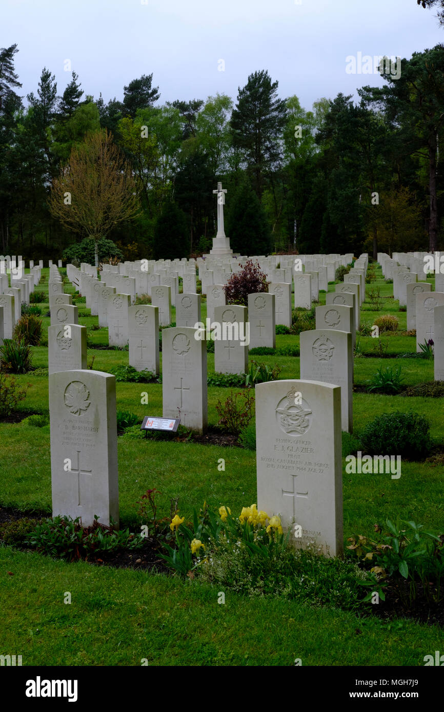 Brookwood Military Cemetery covers about 37 acres (15 ha) and is the largest Commonwealth war cemetery in the United Kingdom. Stock Photo