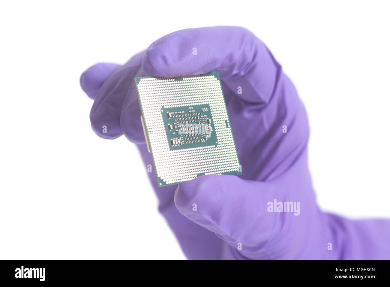Hand in purple glove holding a CPU computer processor microchip isolated on a white background Stock Photo