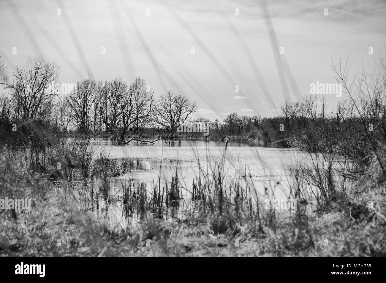 Black white landscape wetlands hi-res stock photography and images - Alamy