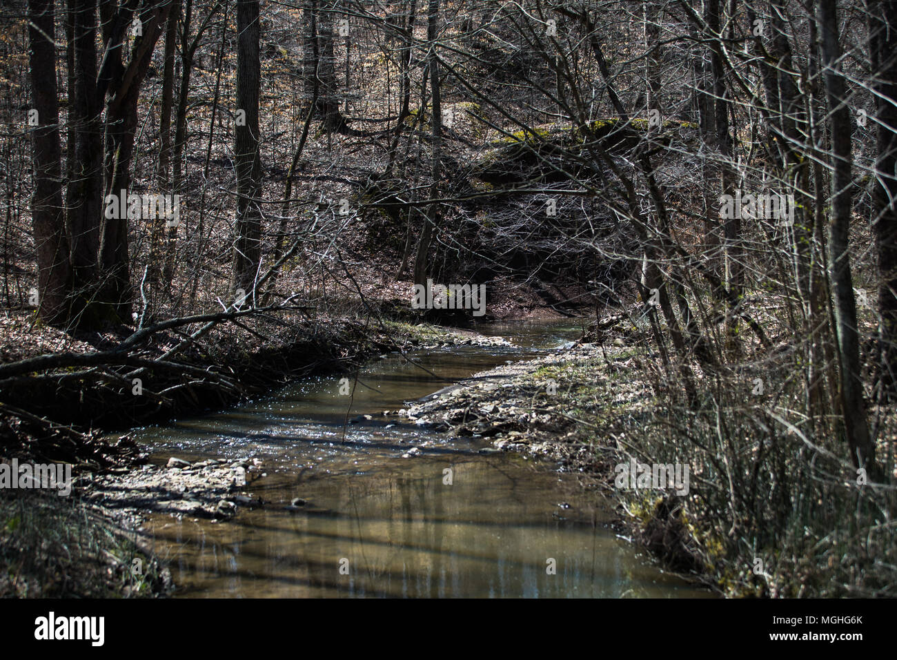 Creek water flow hi-res stock photography and images - Alamy