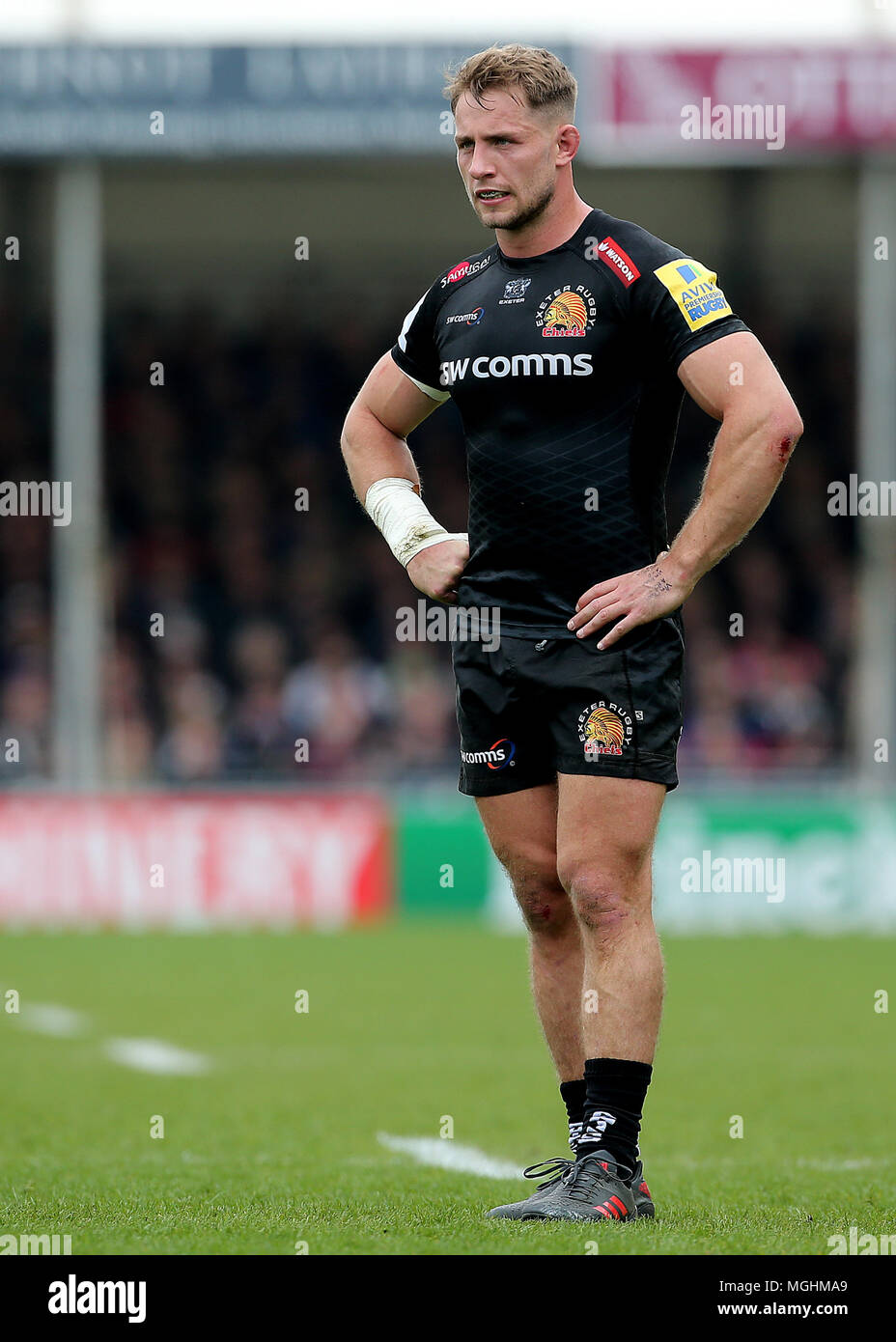 exeter chiefs sam hill during the aviva premiership match at sandy park exeter stock photo alamy exeter chiefs sam hill during the aviva premiership match at sandy park exeter stock photo alamy