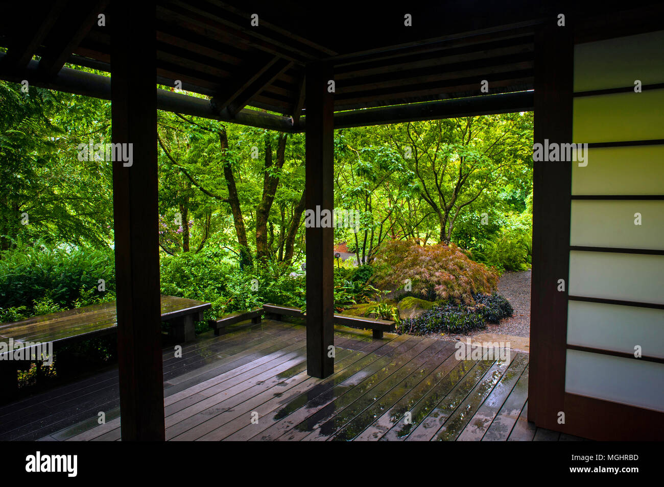 Japanese viewing platform at the Bellevue Botanical Gardens Stock Photo
