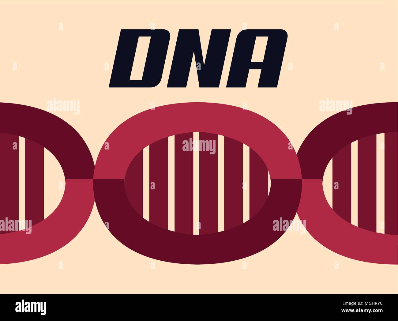 Red DNA Molecule Structure Over Orange Background, Vector Illustration ...