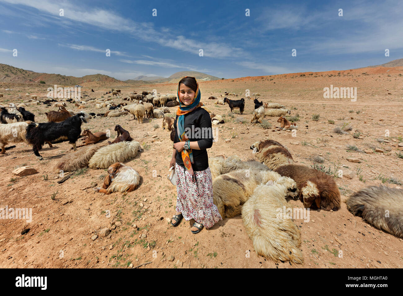 Iranian nomadic shepherdess belonging to the tribe known as Qashqai, herding goats and sheep, in Firuzabad, Iran. Stock Photo