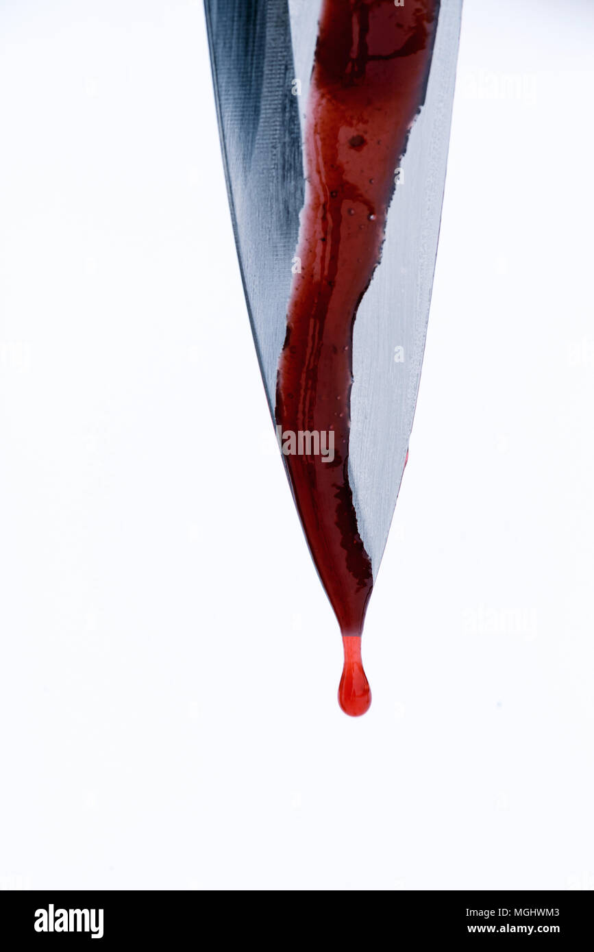 Single sharp silver knife edge in macro closeup with red blood droplets dripping off the blades edge with white background and copyspace area for murd Stock Photo