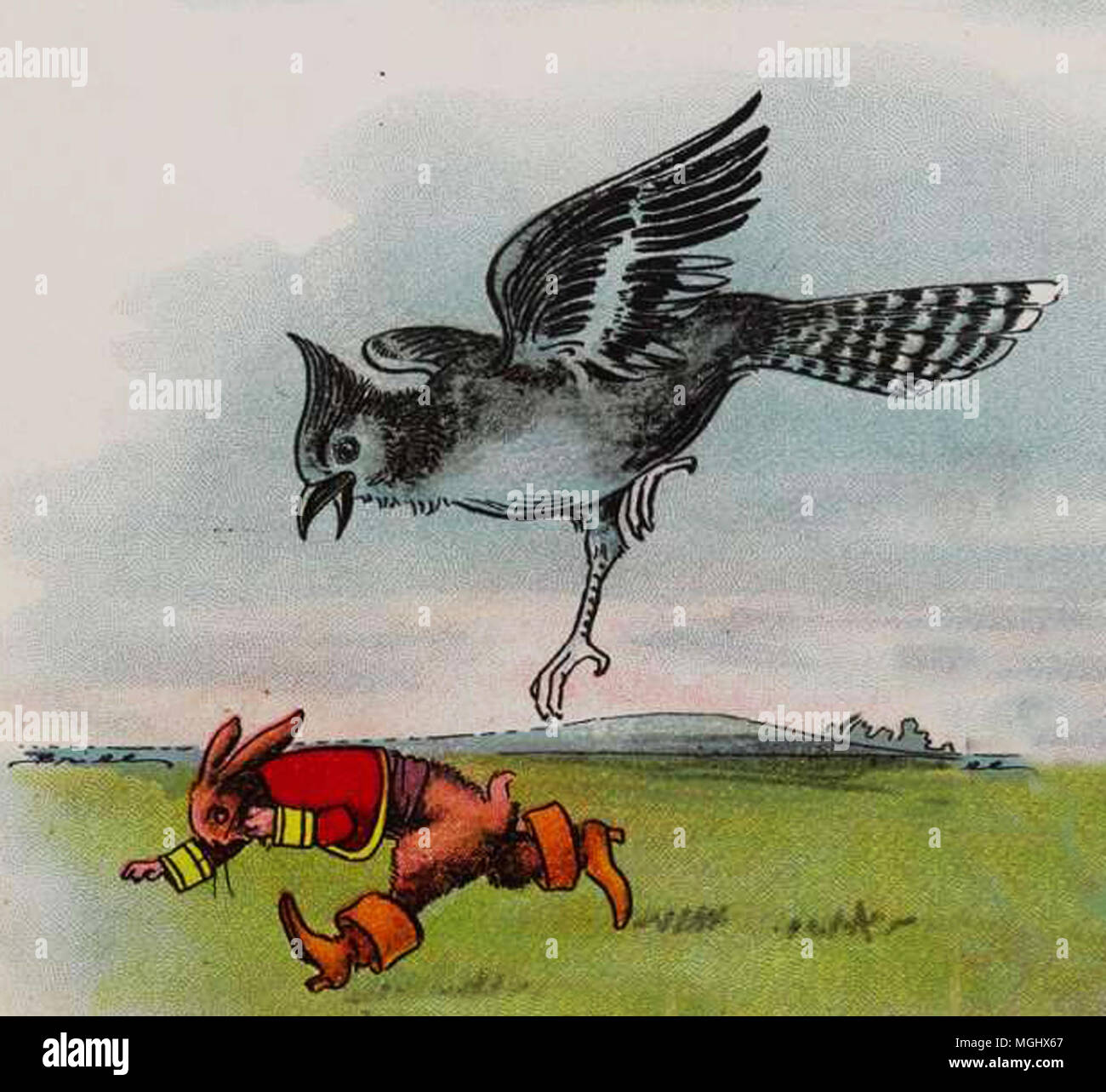 a vintage animal drawing Stock Photo Alamy