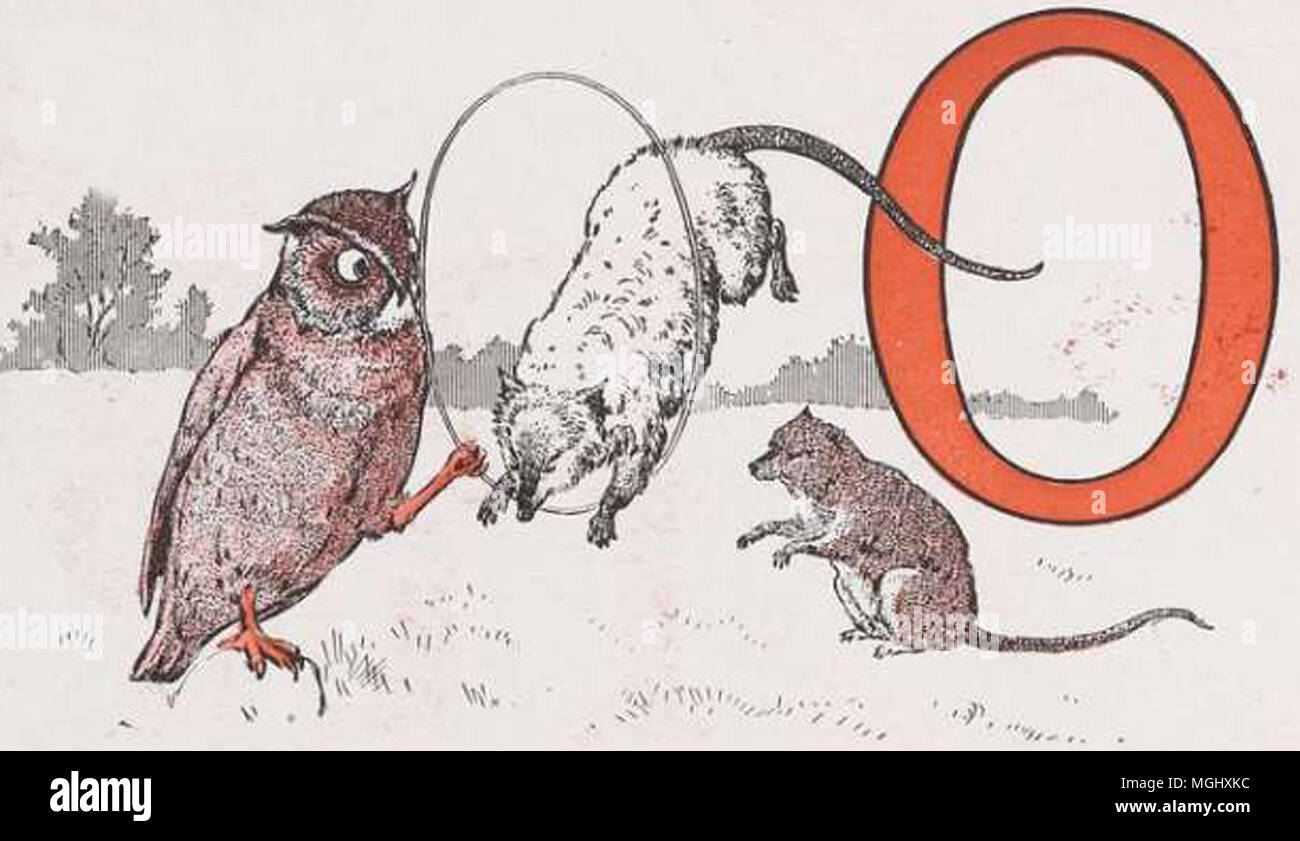 a vintage animal drawing Stock Photo Alamy