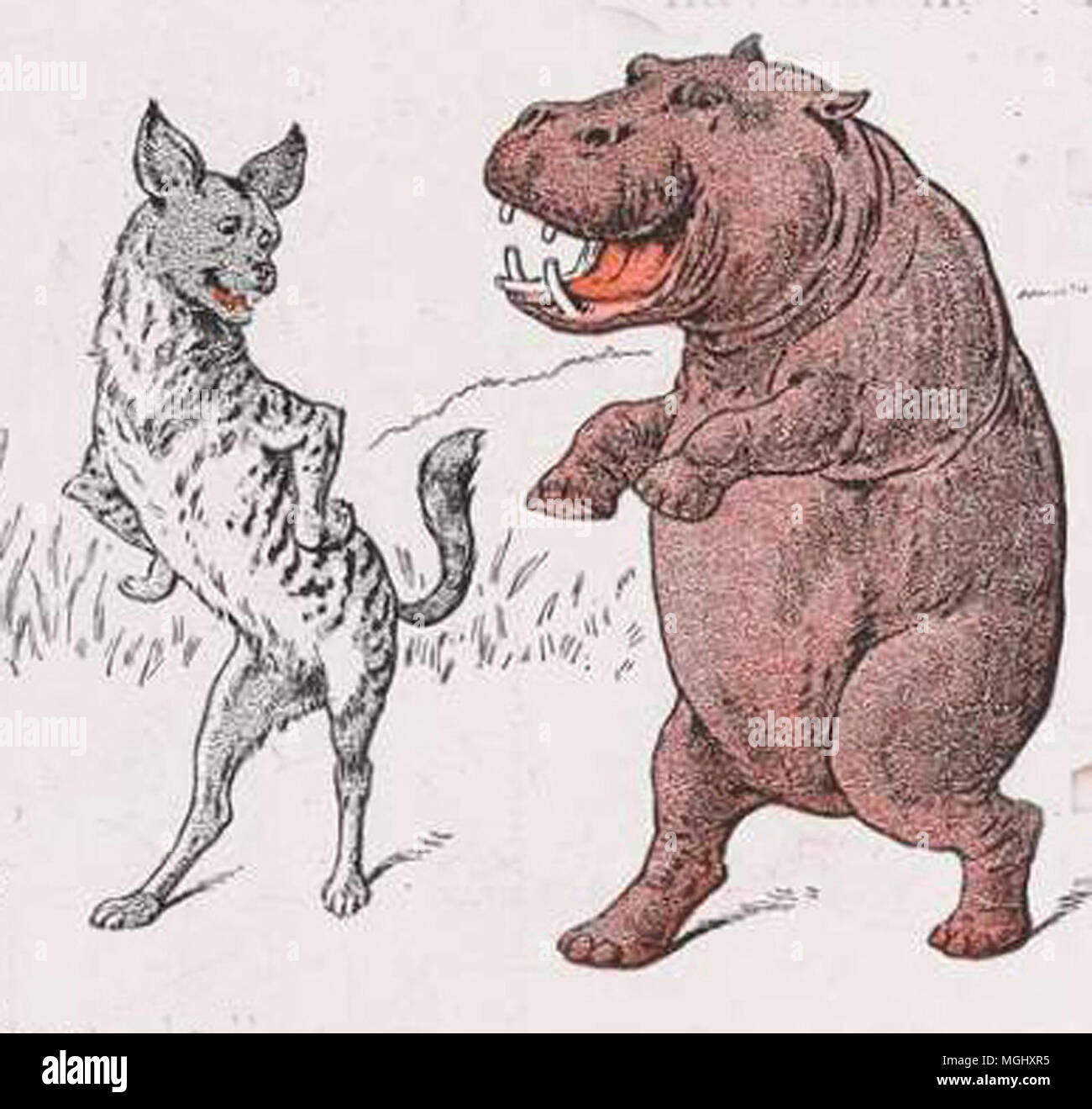 a vintage animal drawing Stock Photo Alamy