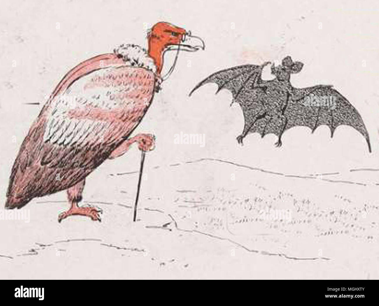 a vintage animal drawing Stock Photo Alamy