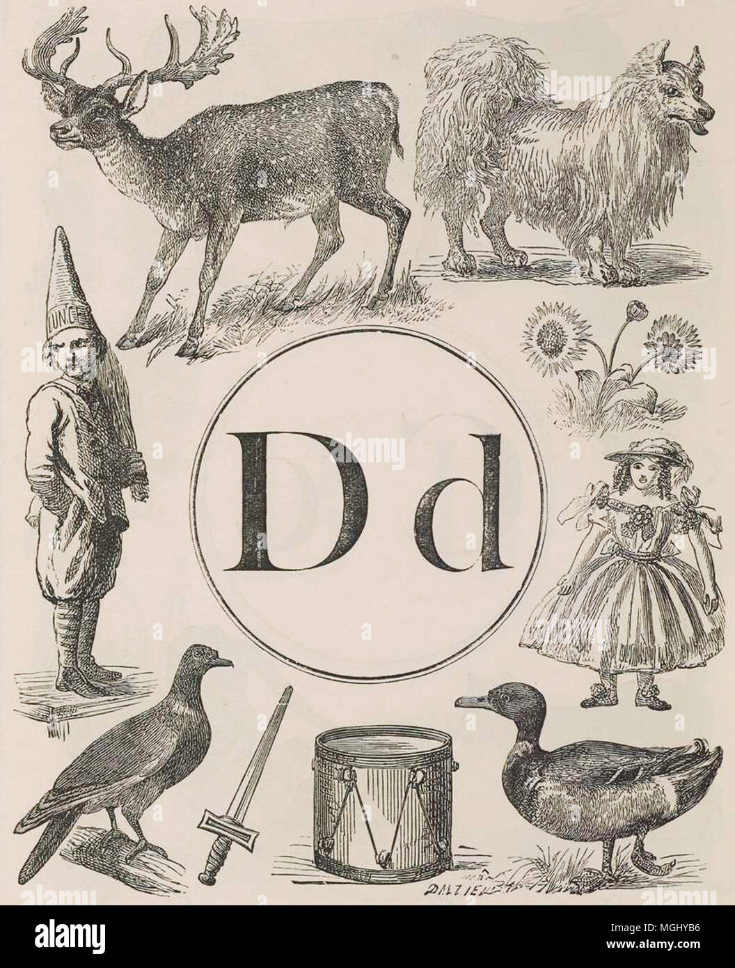 a vintage animal drawing Stock Photo - Alamy